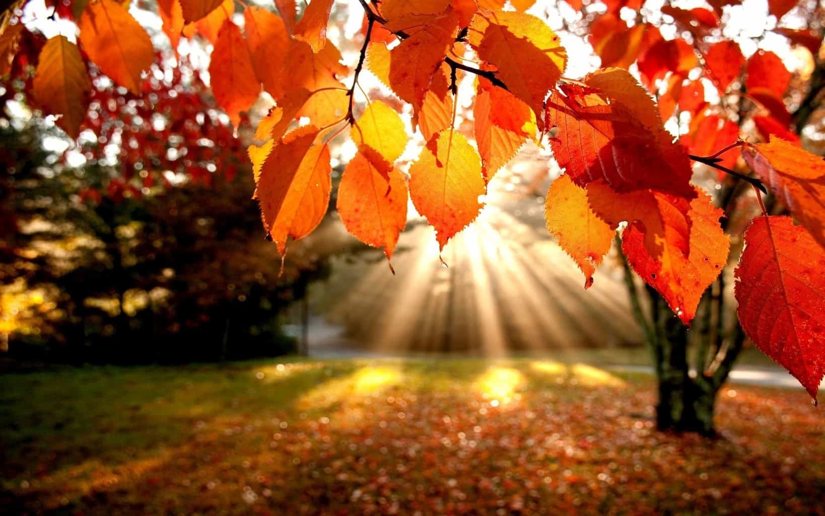 1640x1030 Cozy Autumn Wallpaper Free Cozy Autumn Background, Desktop