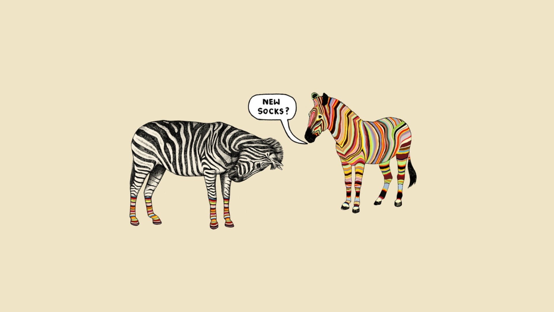 1920x1080 Paul Smith T Shirt Zebra New Socks, Desktop