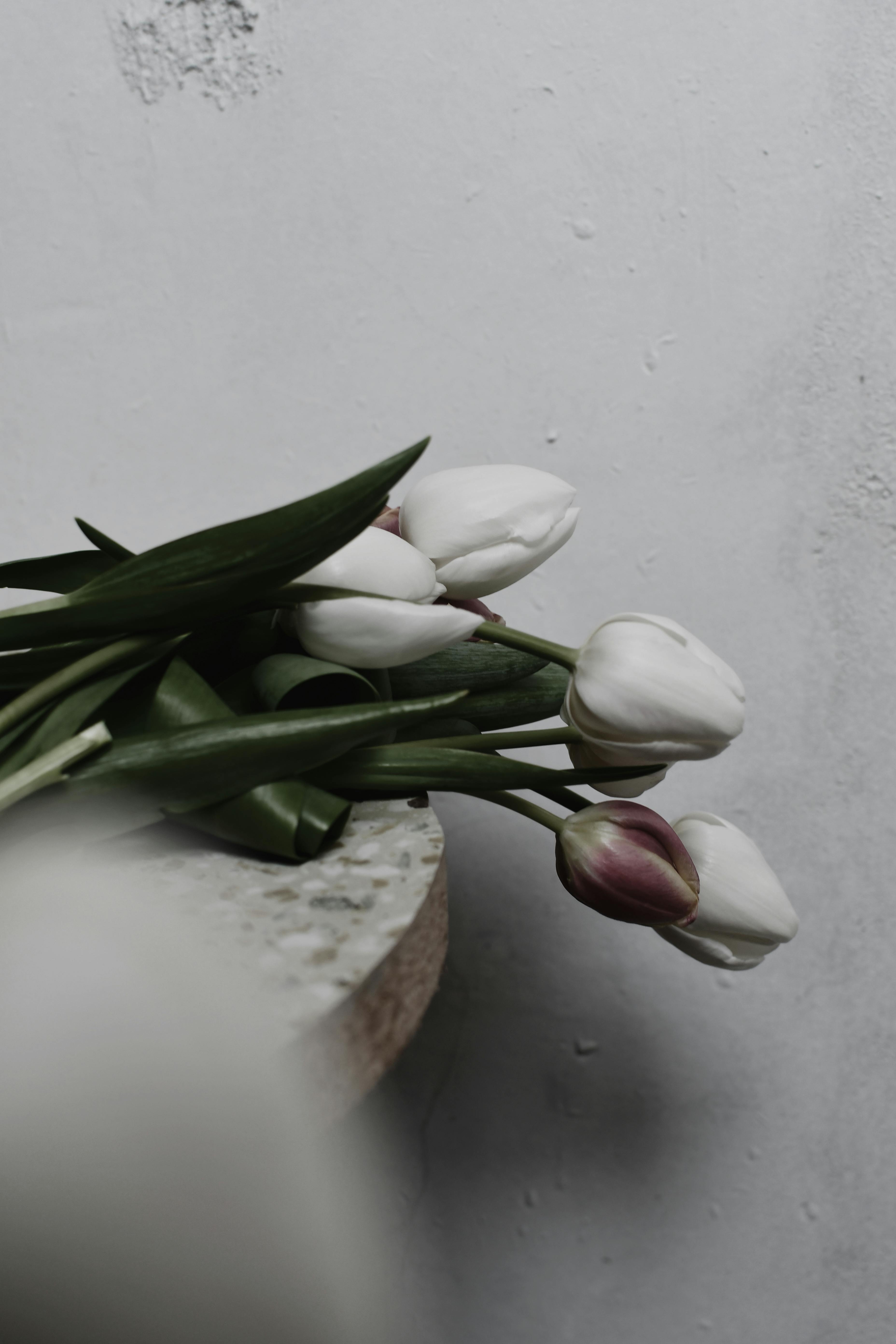 3720x5570 Bouquet of White Tulips on the Edge, Phone