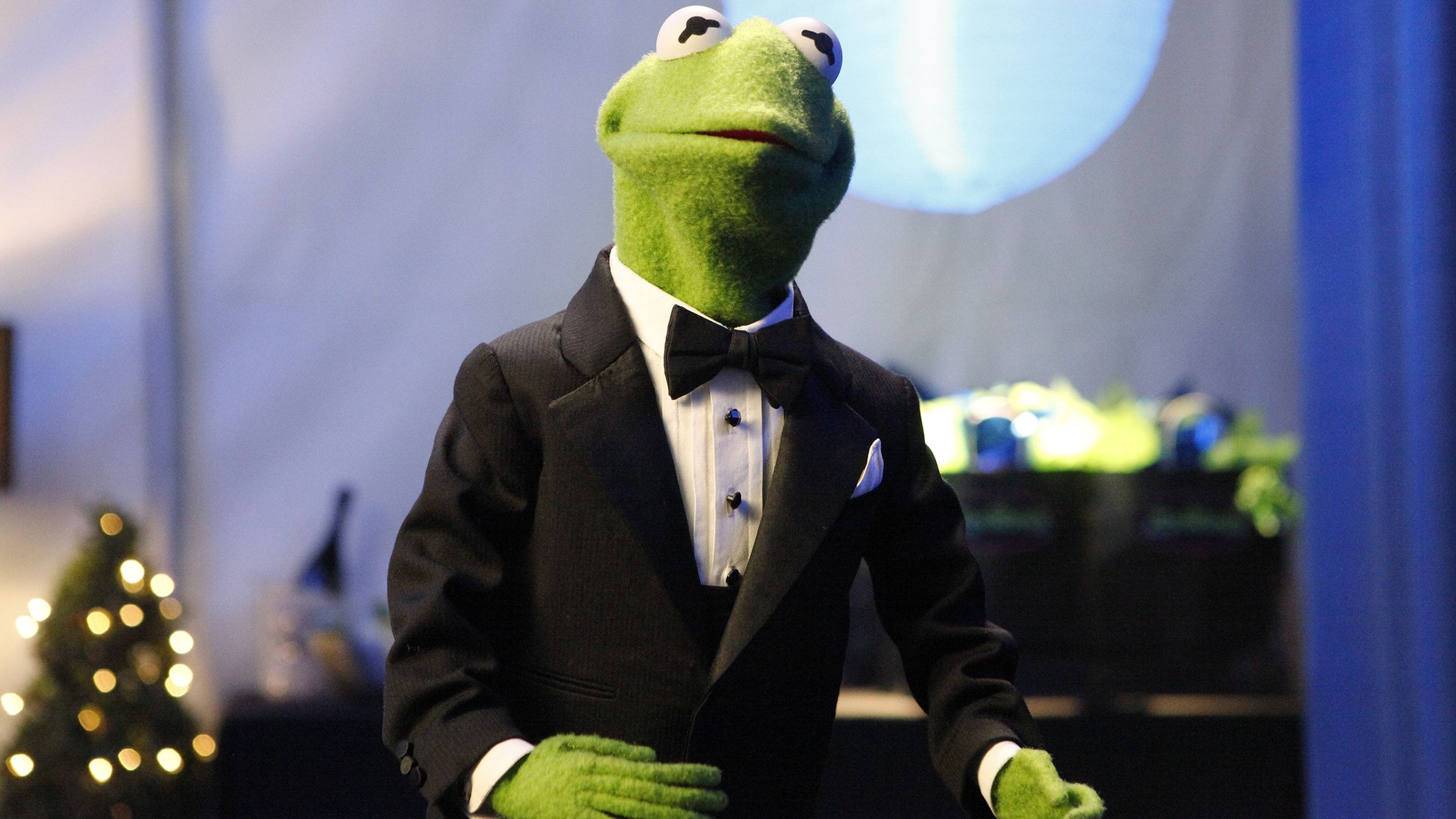 2500x1410 Kermit The Frog Was Made Out Of An Old Coat, Desktop