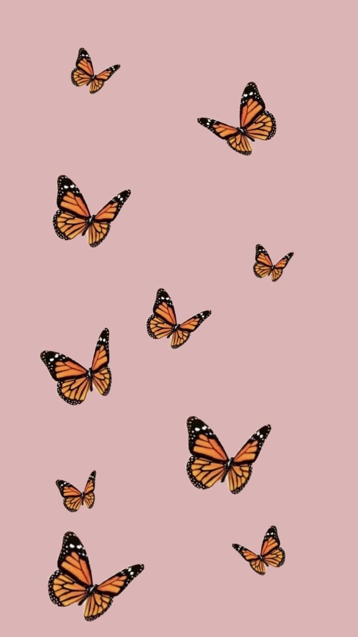 740x1310 Cute Butterfly Wallpaper Free Cute Butterfly Background, Phone