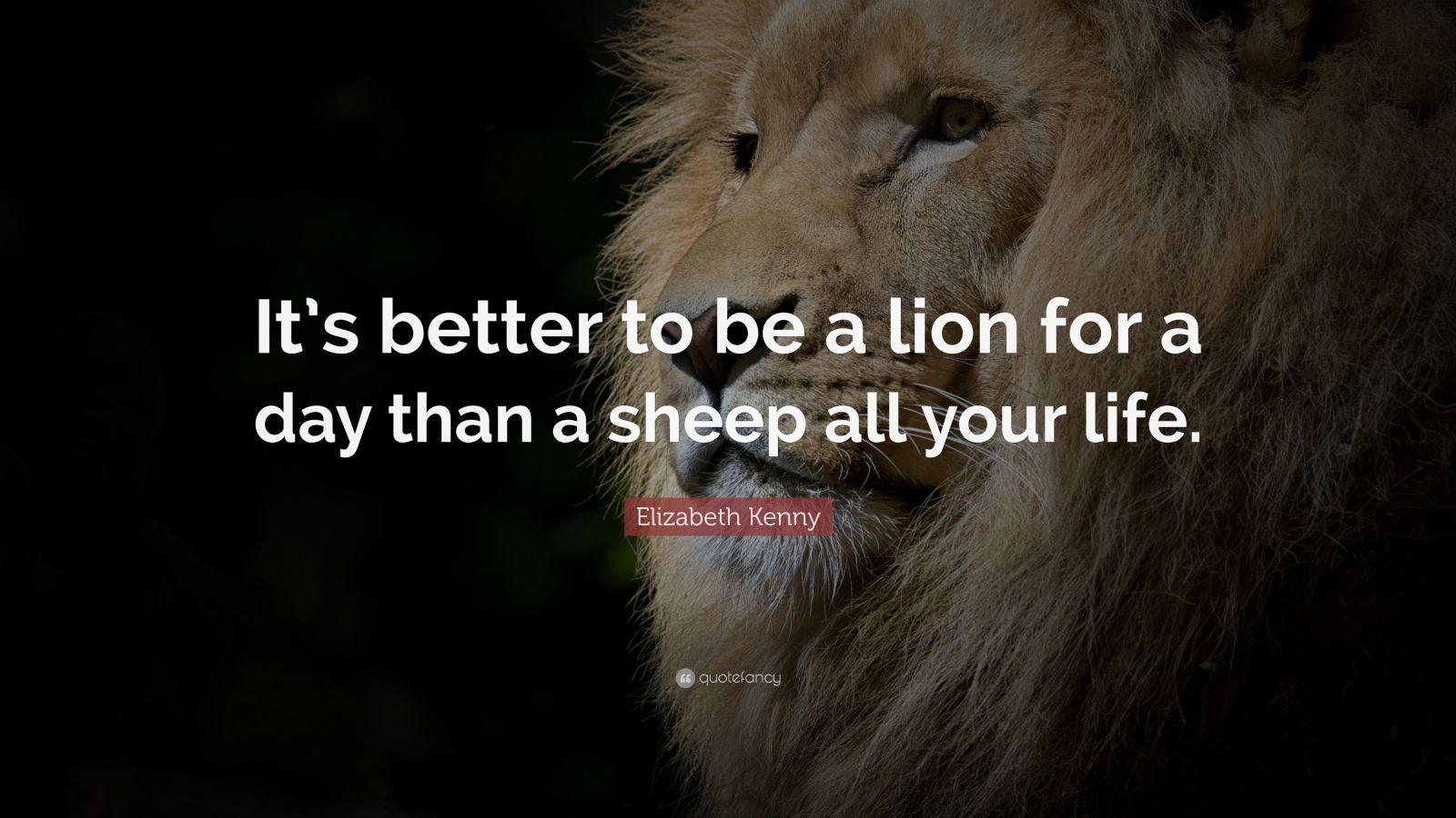 1600x900 Attitude Motivational Lion Quotes Wallpaper, Desktop