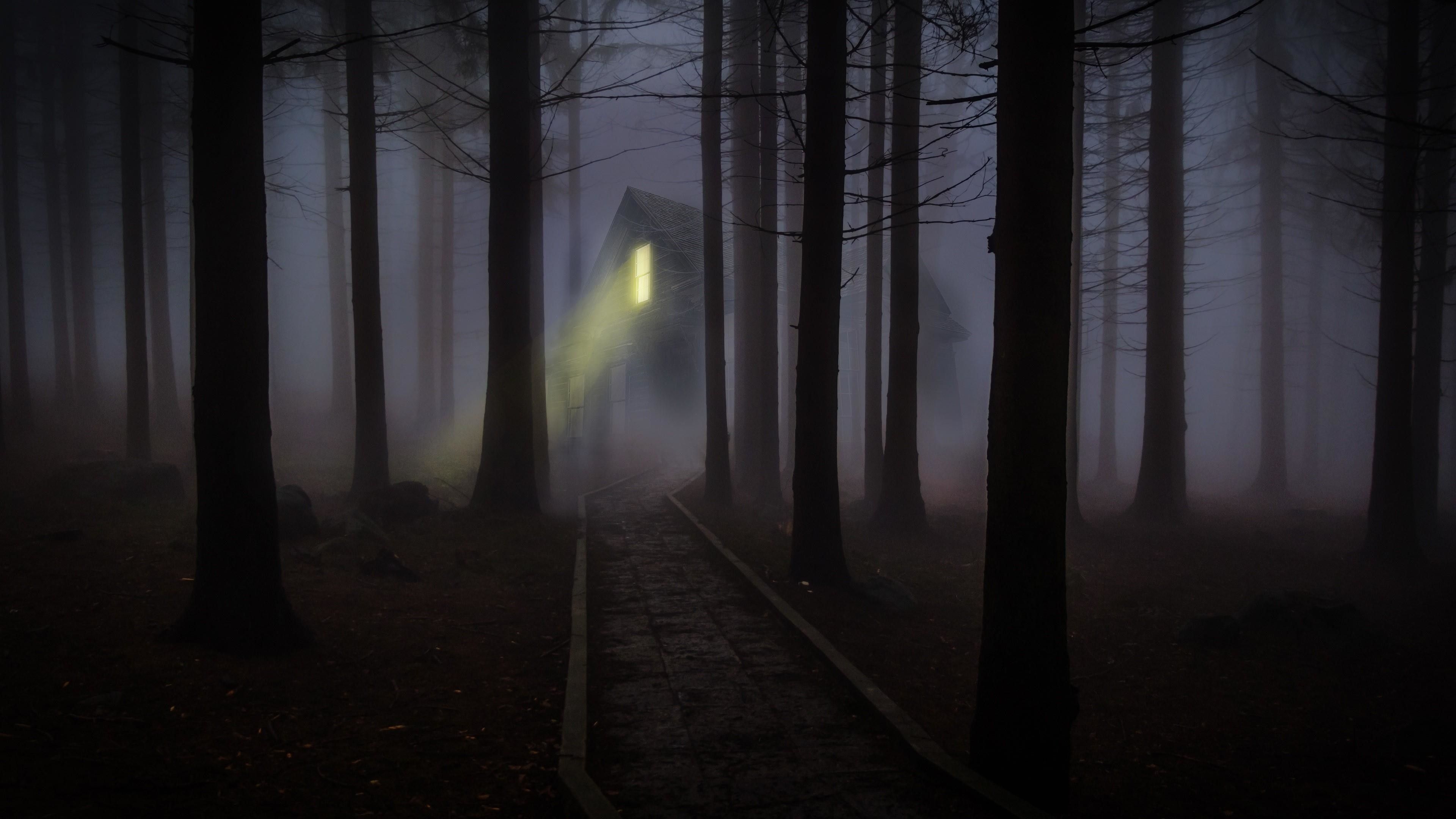 3840x2160 Scary Forest Wallpaper Free Scary Forest Background, Desktop