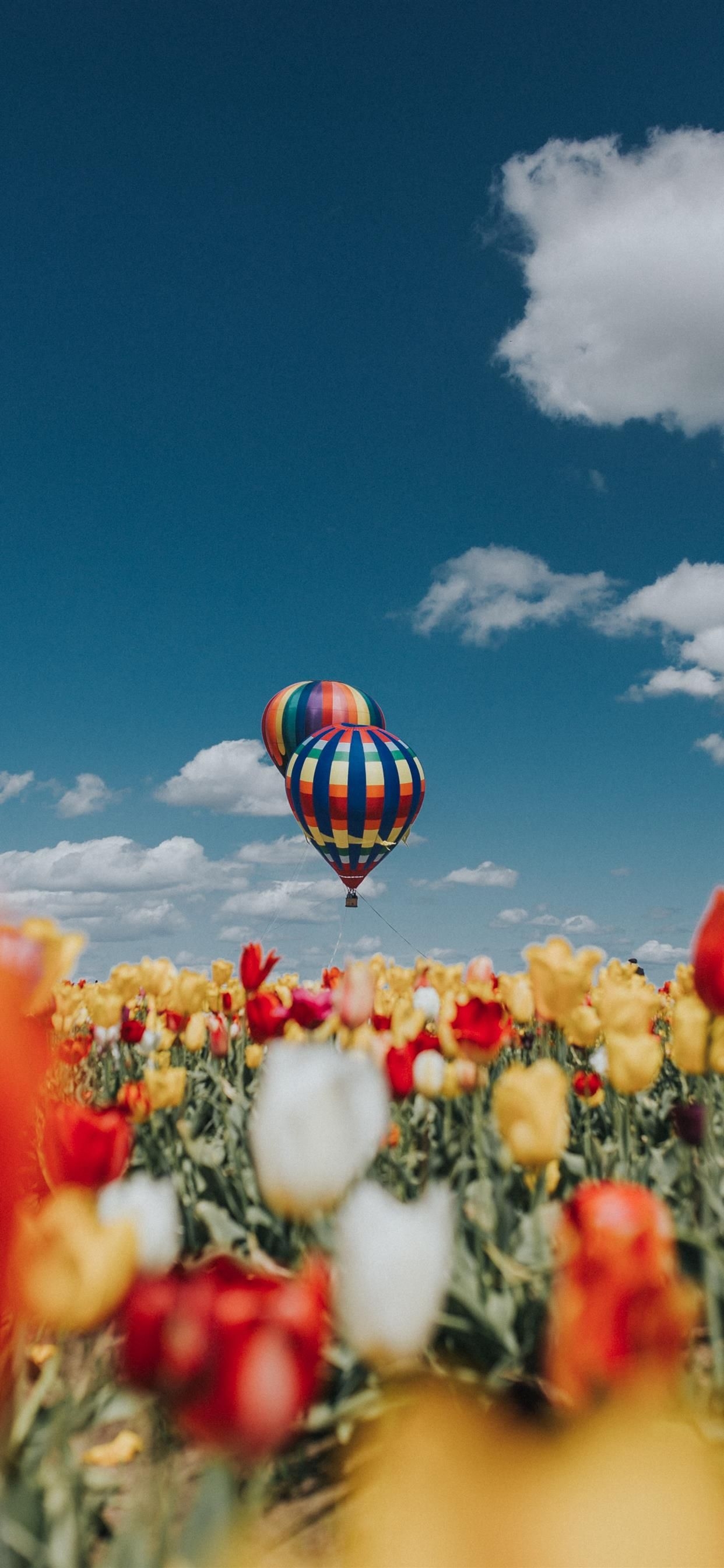 1250x2690 Balloon Over Tulips iPhone Wallpaper Free Download, Phone