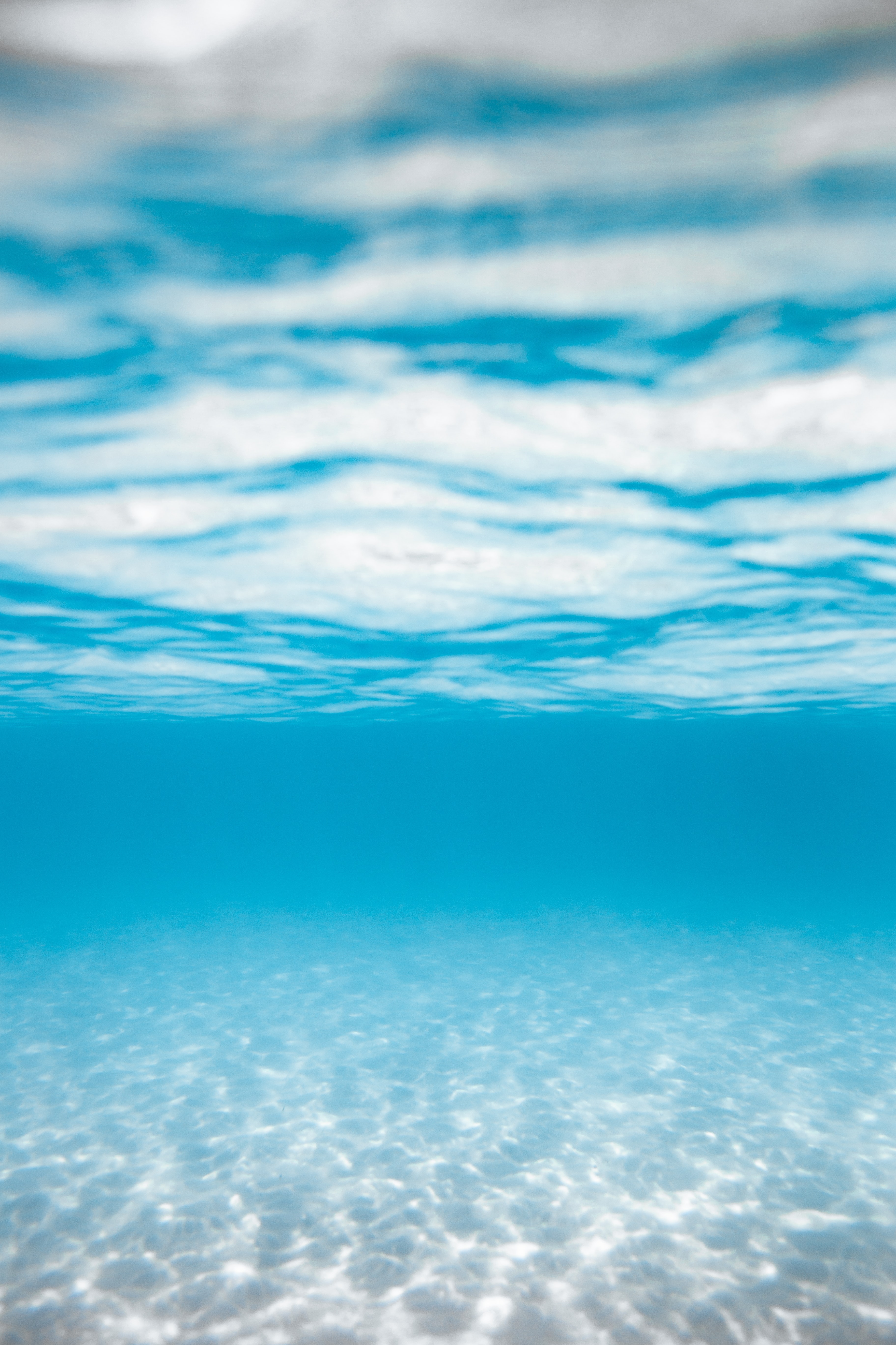 3650x5480 Download Underwater wallpaper for mobile phone, free Underwater HD picture, Phone