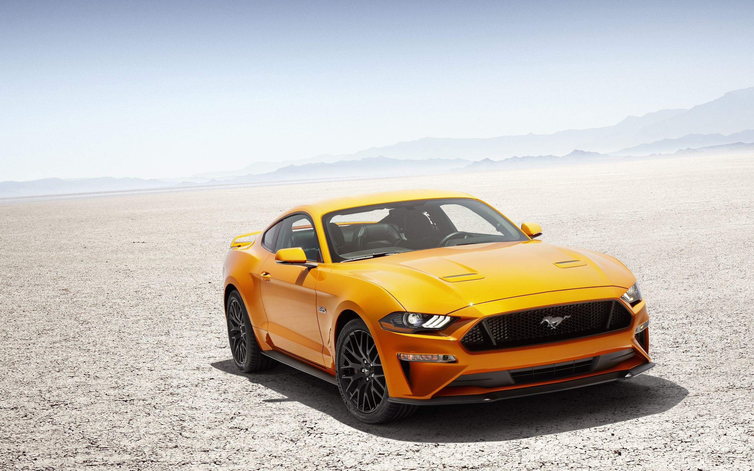 2560x1600 Mustang 4K wallpaper wallpaper Collections, Desktop