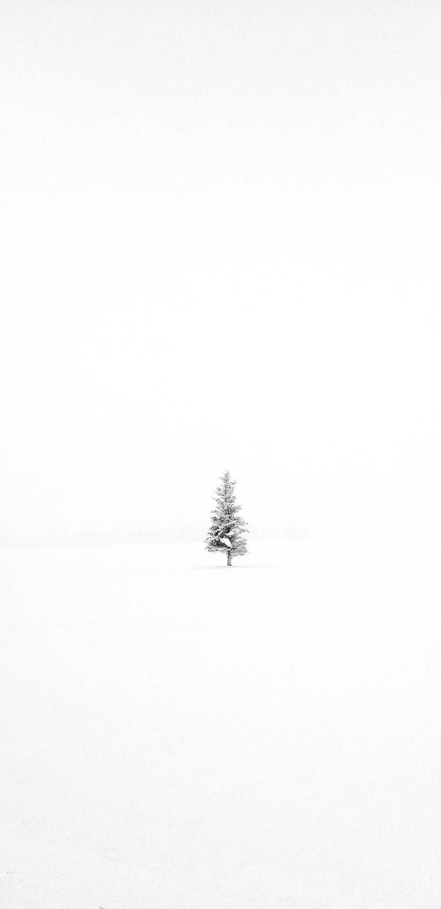 630x1280 Minimalist Winter Wallpaper Free Minimalist Winter Background, Phone