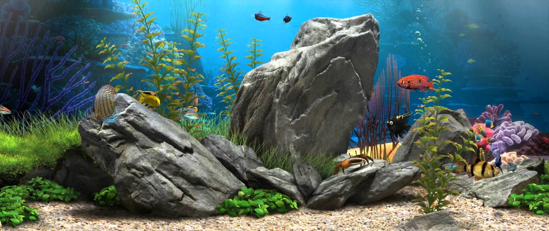 1920x810 Fish Tank Wallpaper, Dual Screen