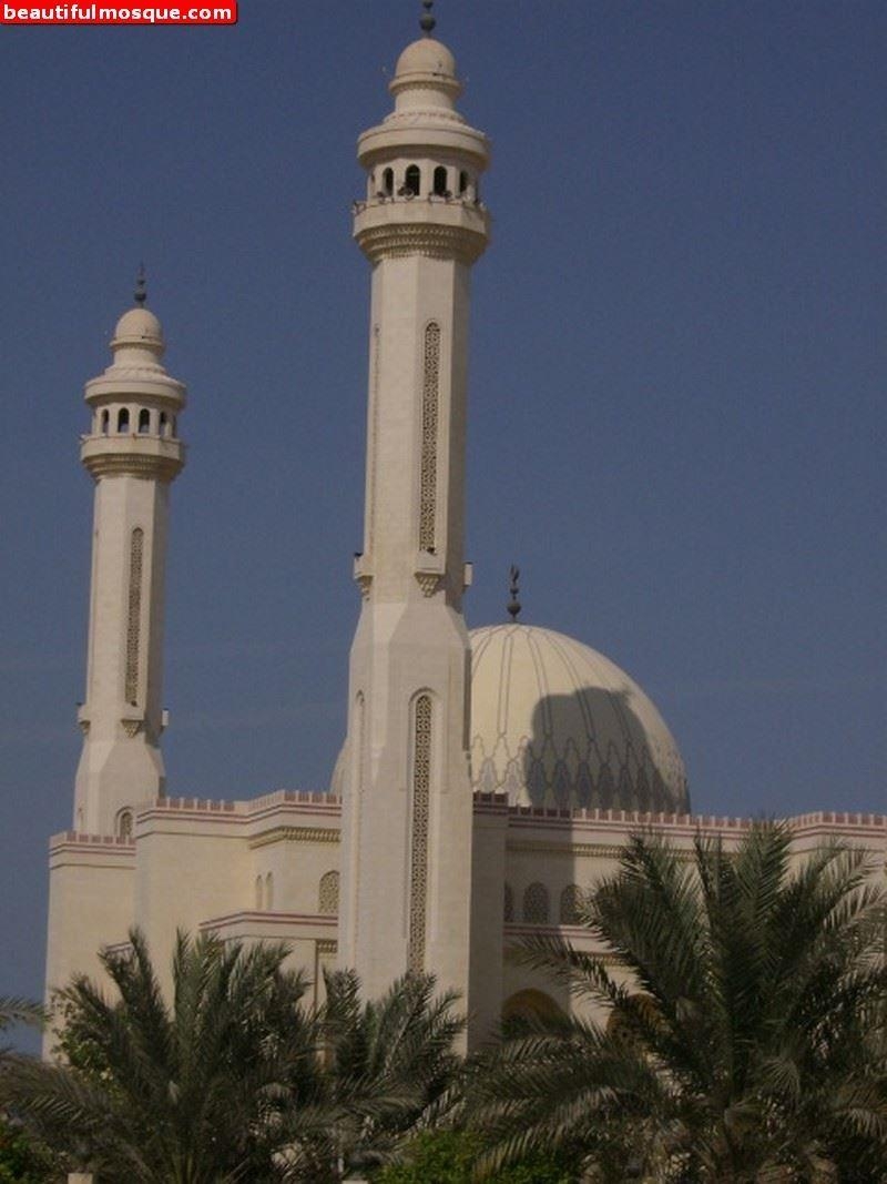 800x1070 Beautiful Mosques Picture, Phone