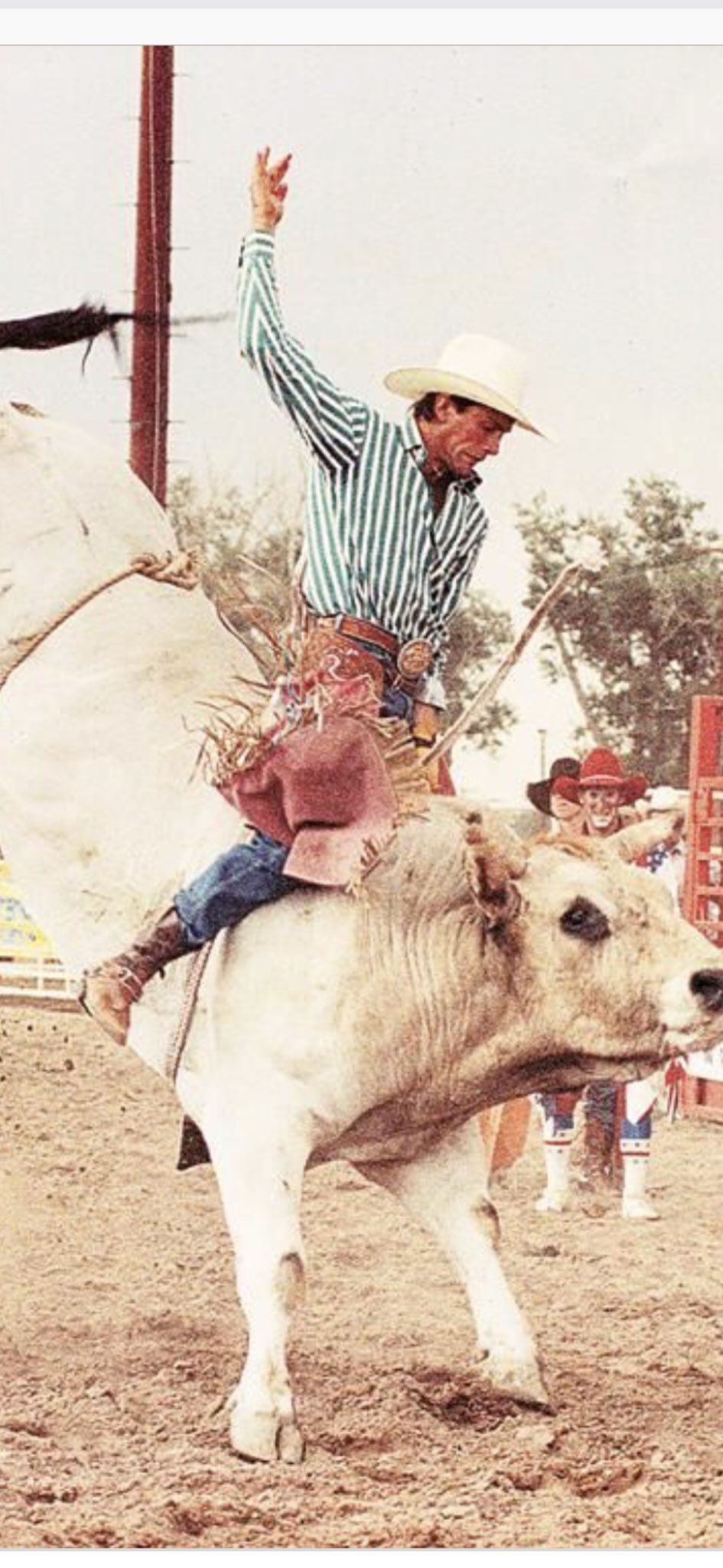 950x2050 lane frost with his pink chaps. Western wall art, Cowgirl picture, Lane frost, Phone