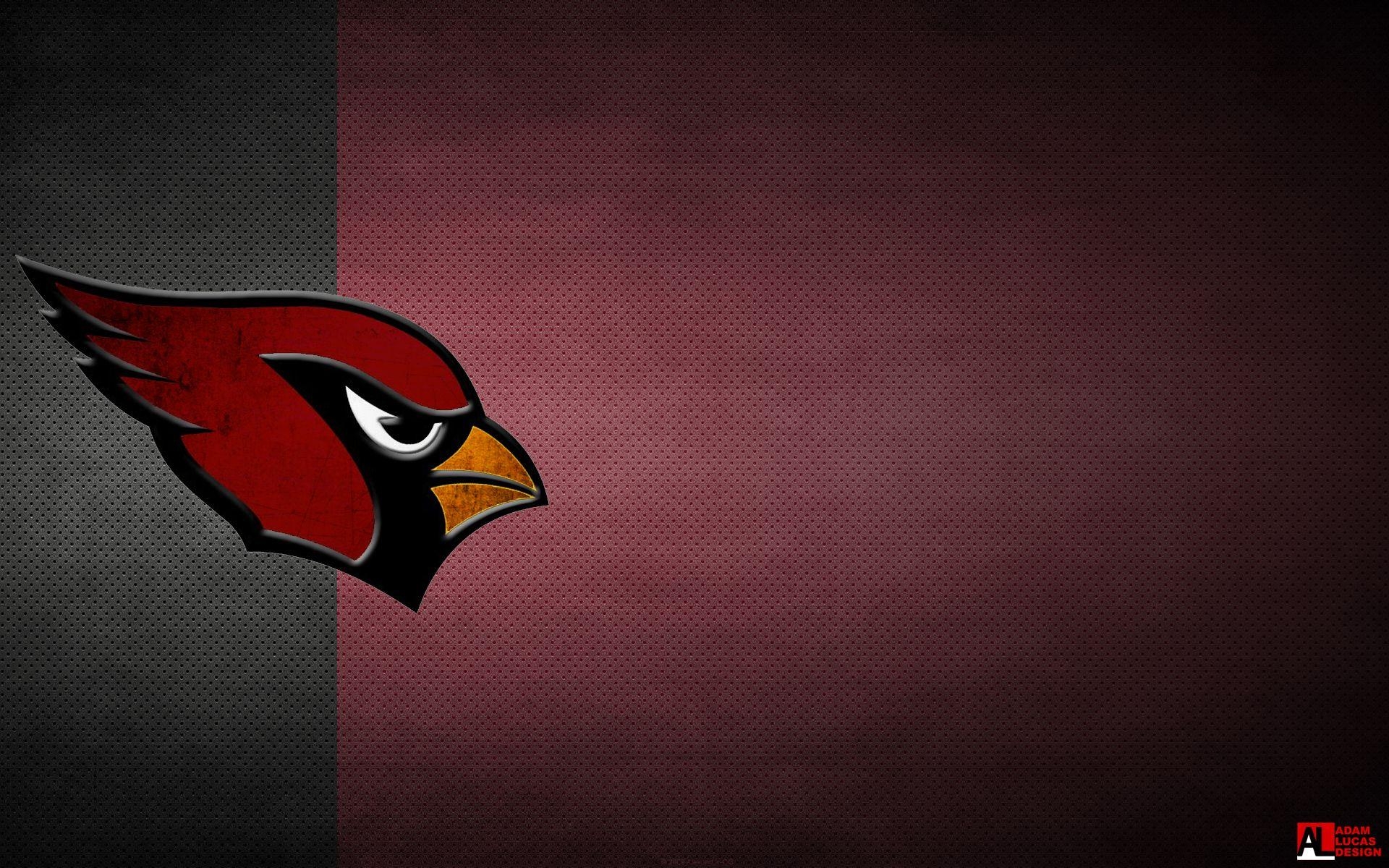 1920x1200 HD Cardinal Wallpaper, Desktop