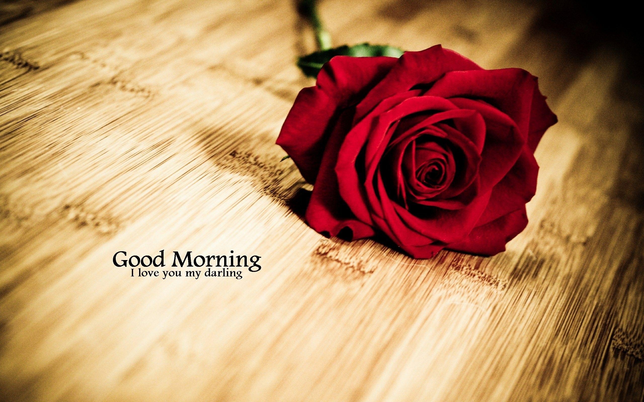 2560x1600 Good Morning Wallpaper Page 1, Desktop