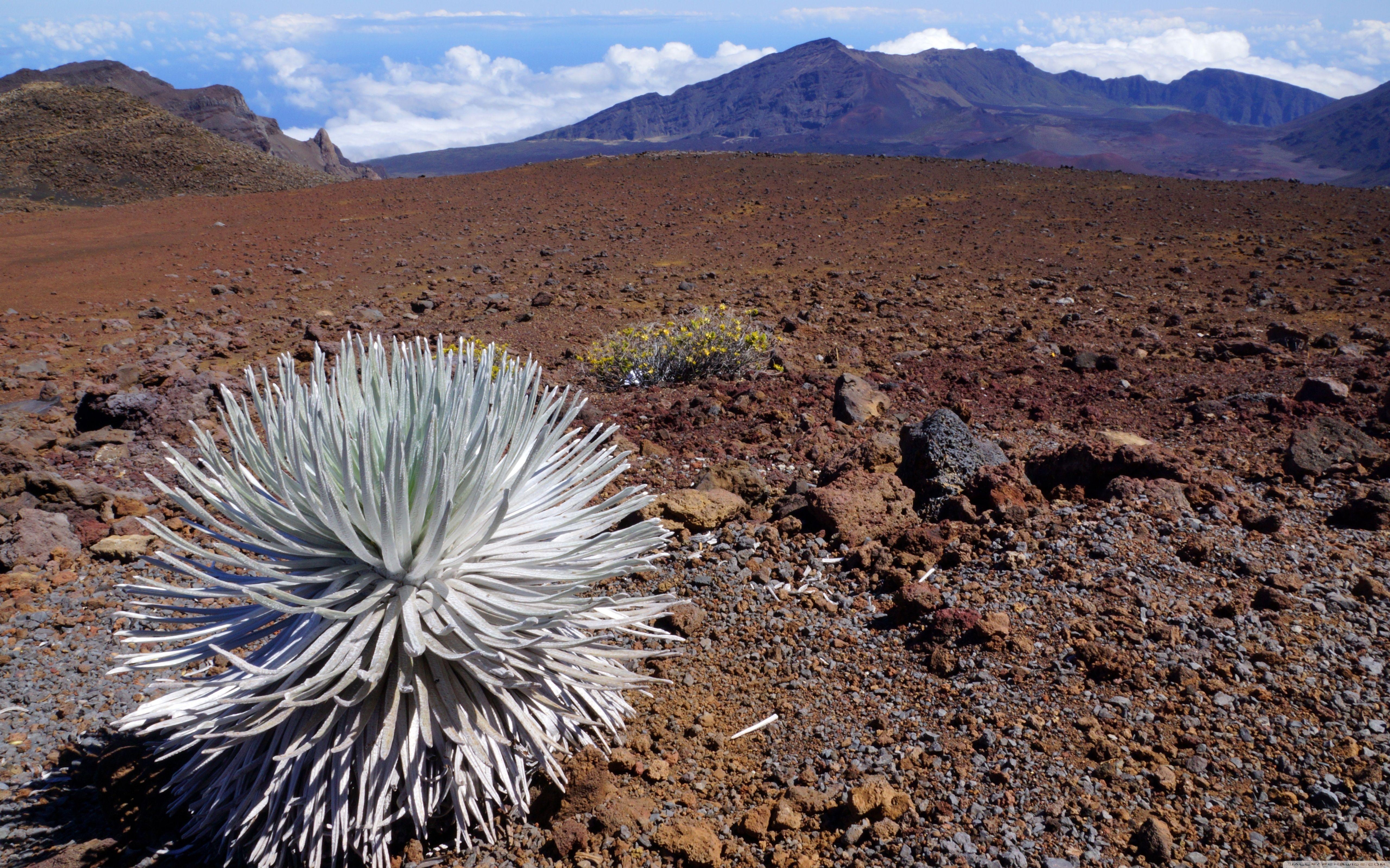 5120x3200 Haleakala National Park, Maui, Hawaii ❤ 4K HD Desktop Wallpaper, Desktop