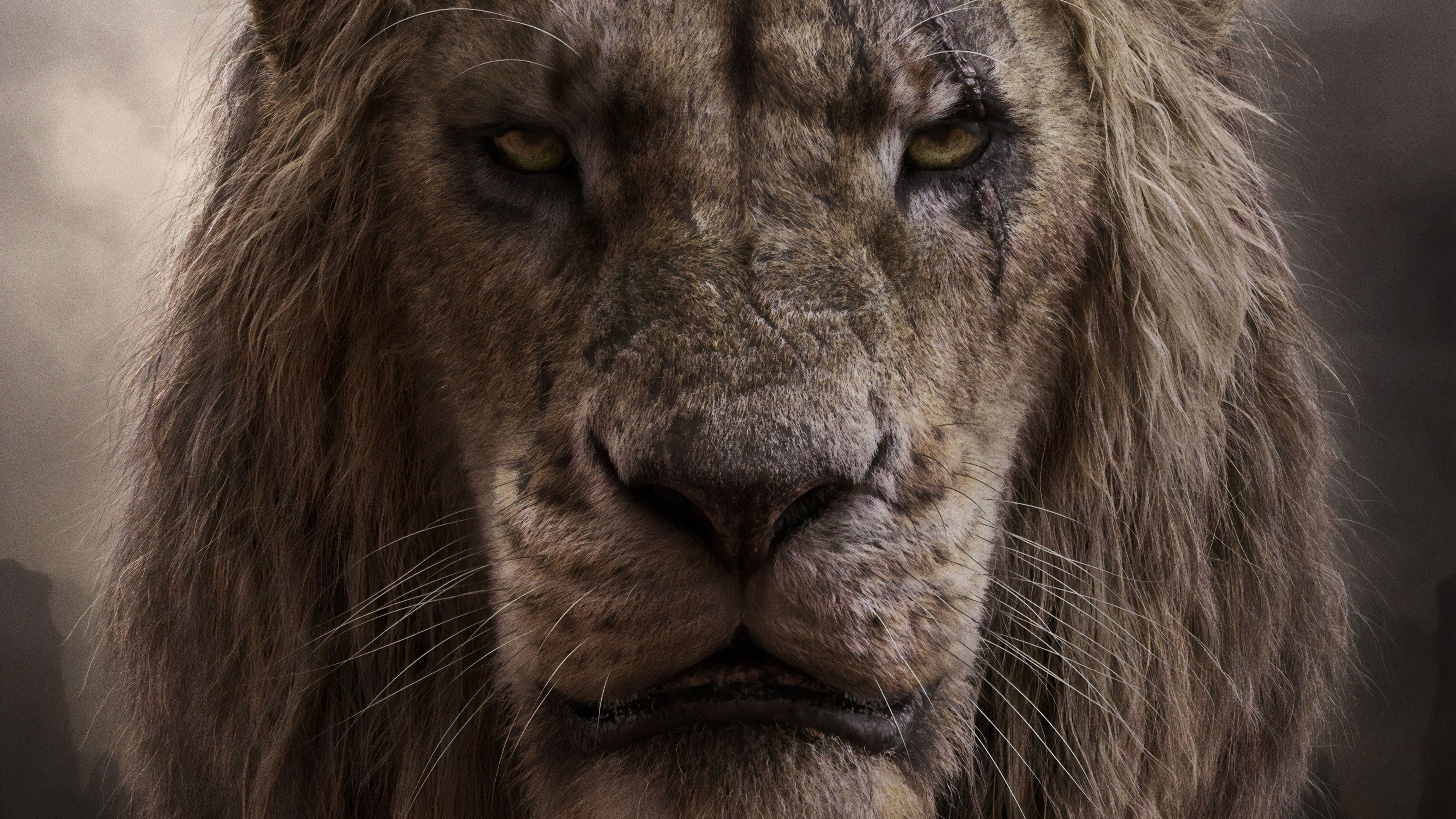 3840x2160 The Lion King, Scar, 4k, HD Wallpaper, Desktop