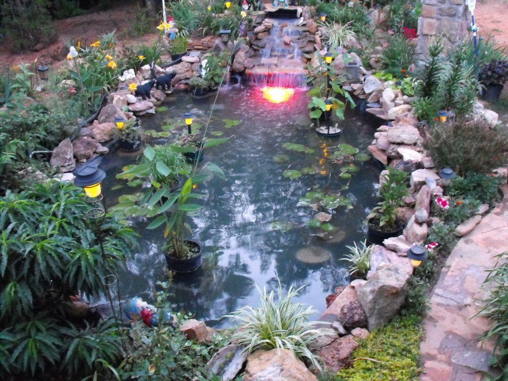 1030x770 Koi Free Pond The Wallpaper With  Resolution, Desktop