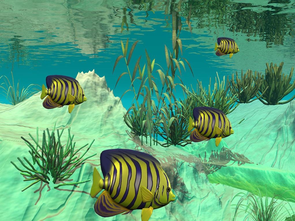 1030x770 3D Fish Wallpaper Live Wallpaper Of Fish, HD Wallpaper, Desktop