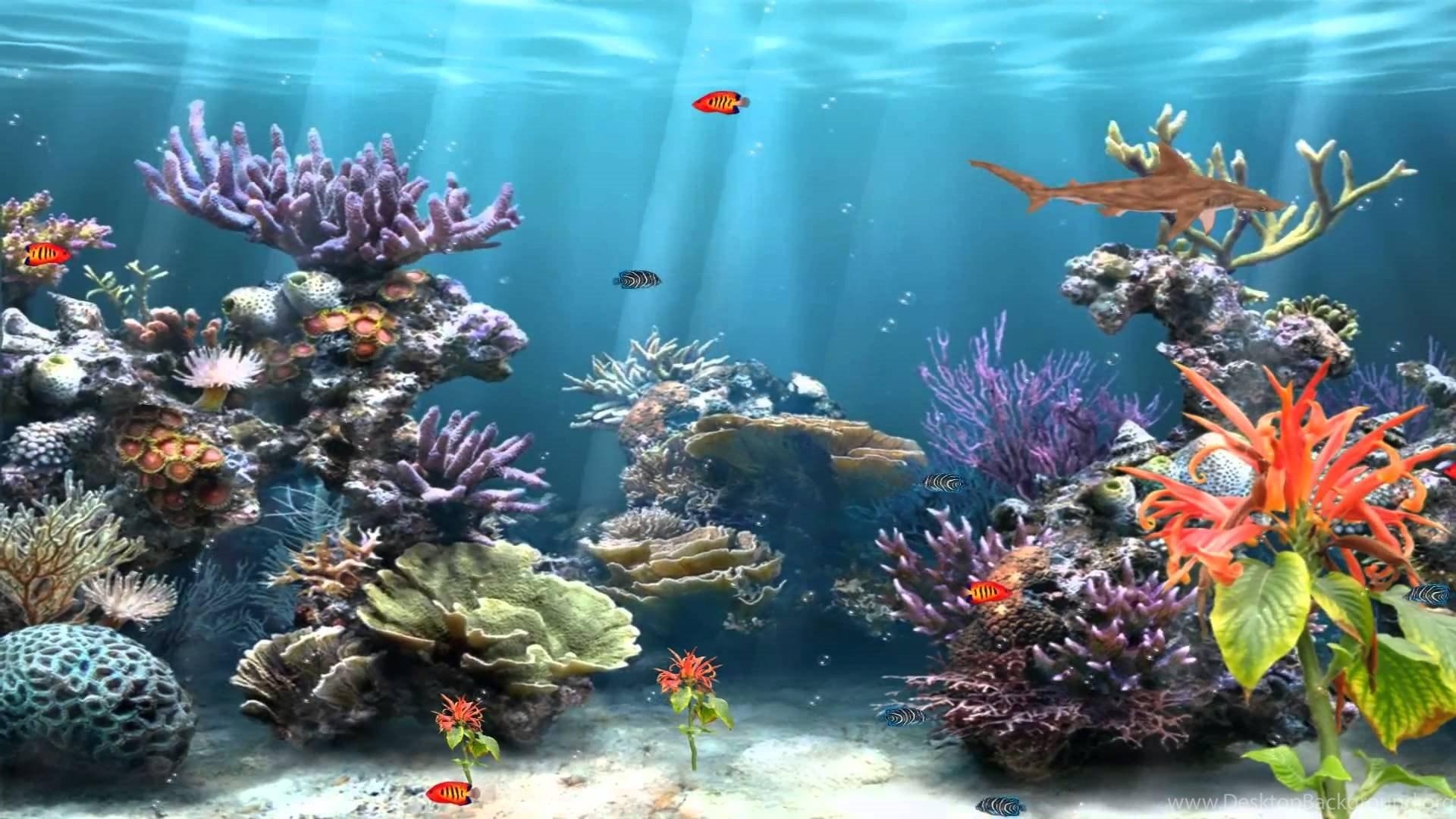 1920x1080 Aquarium Wallpaper 22, Desktop