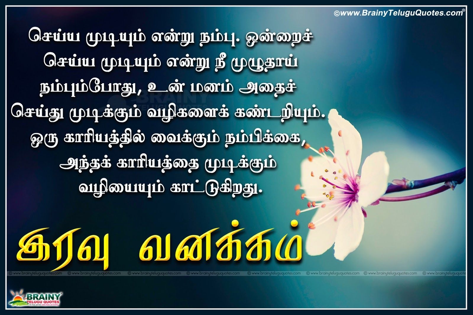 1600x1070 Tamil true Words about Life with Good Night quotes Image, Desktop