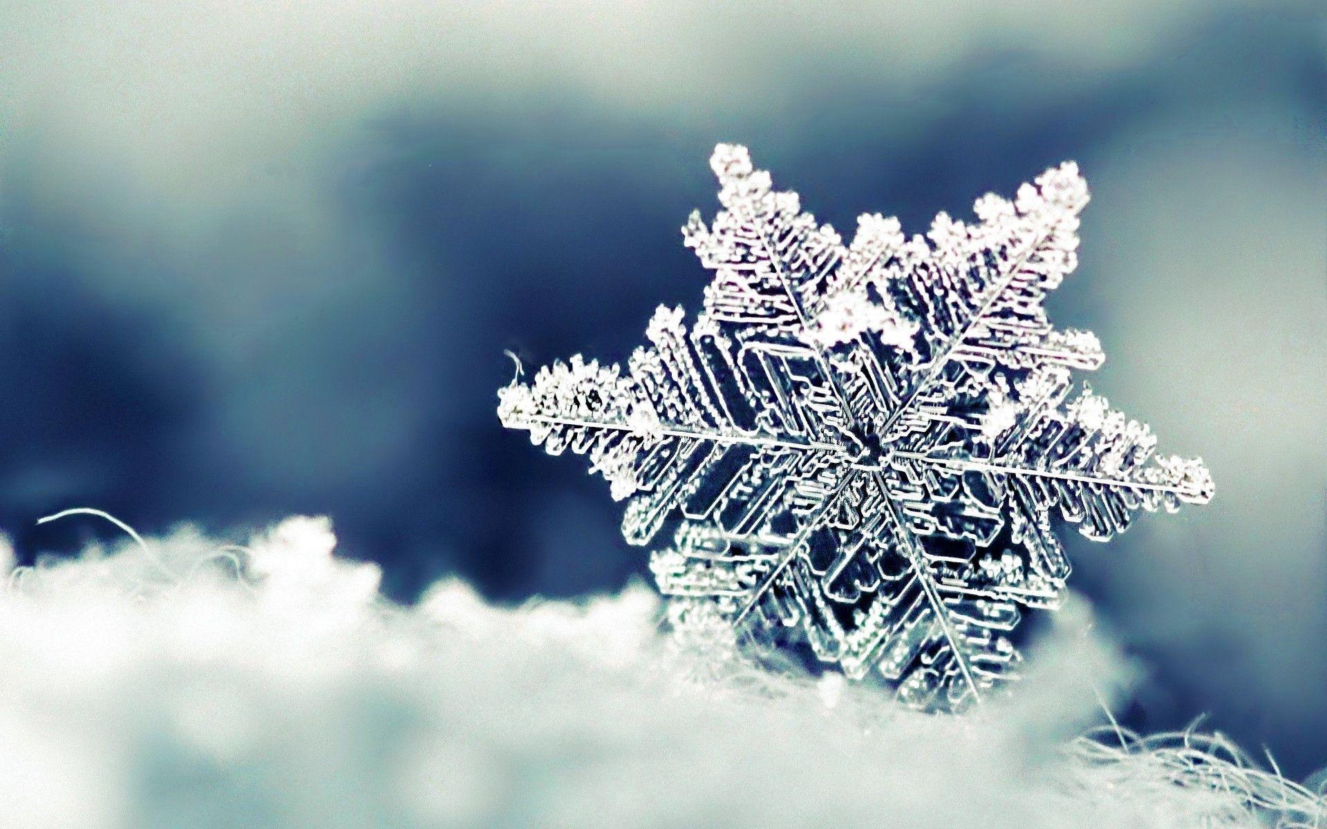 1920x1200 Real Snowflakes Wallpaper, Desktop