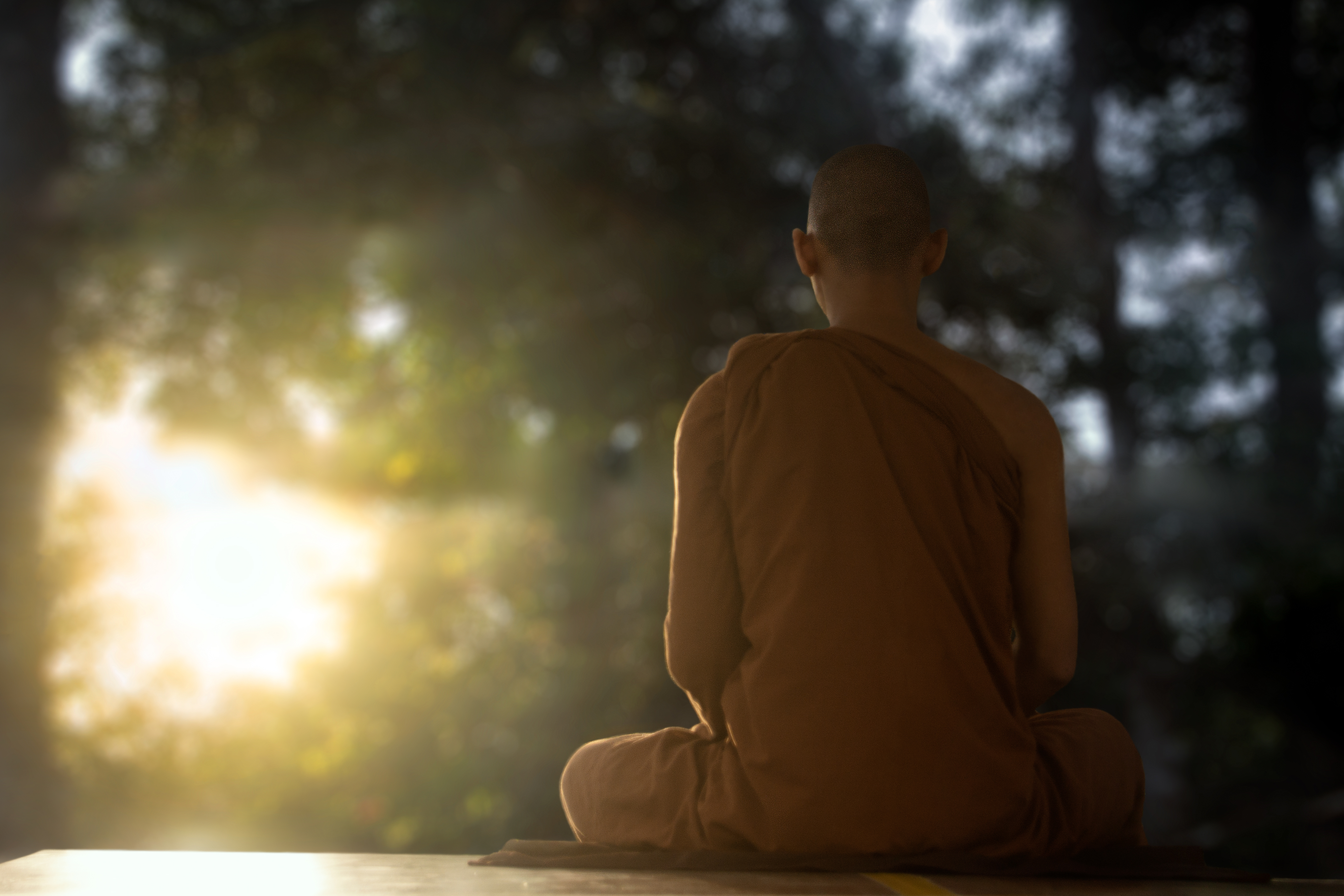 4280x2850 Free Image, monk, meditating, meditation, dusk, buddhist, theravada buddhism, sunset, cloud, sky, flash photography, sunlight, automotive lighting, tree, wood, Tints and shades, grass, heat, lens flare, backlighting, darkness, human leg, sunrise, Desktop