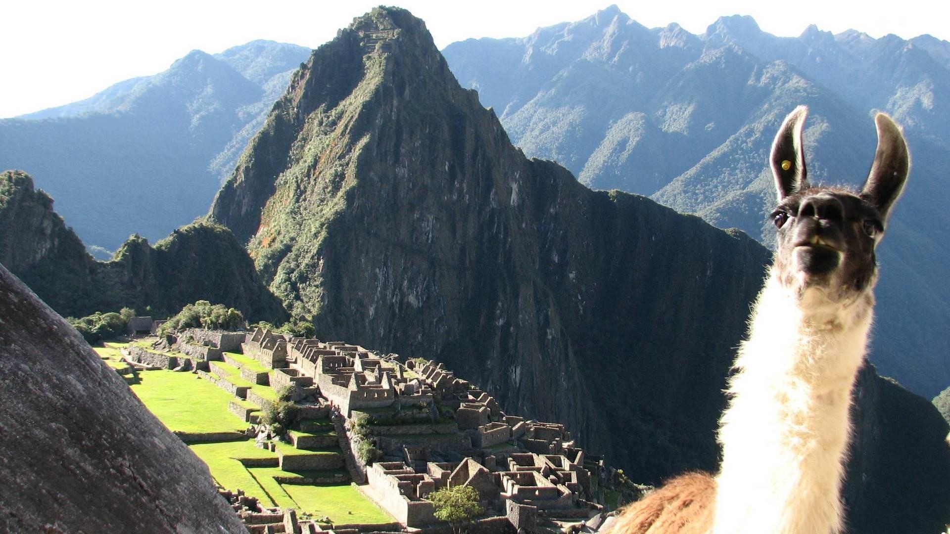 1920x1080 Machu Picchu Wallpaper National Geographic, Desktop