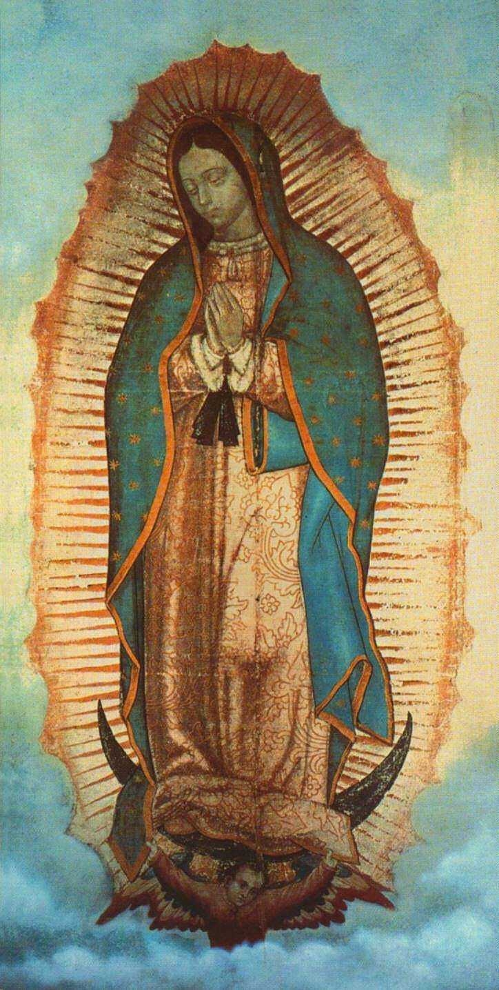 730x1440 Virgen De Guadalupe Wallpaper Free HD Wallpaper, Phone