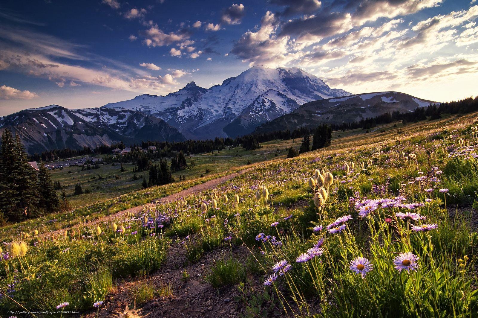 1600x1070 Download wallpaper Mount Rainier National Park, US National Parks, Desktop