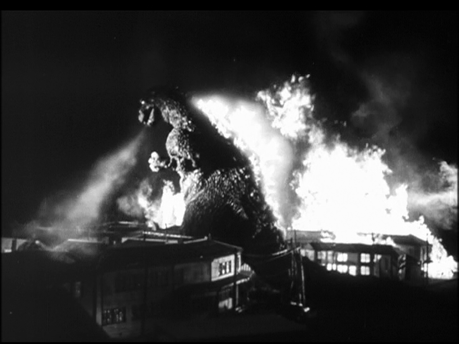 1600x1200 The Godzilla Cycle: 初代ゴジラ • Godzilla 1954, Desktop