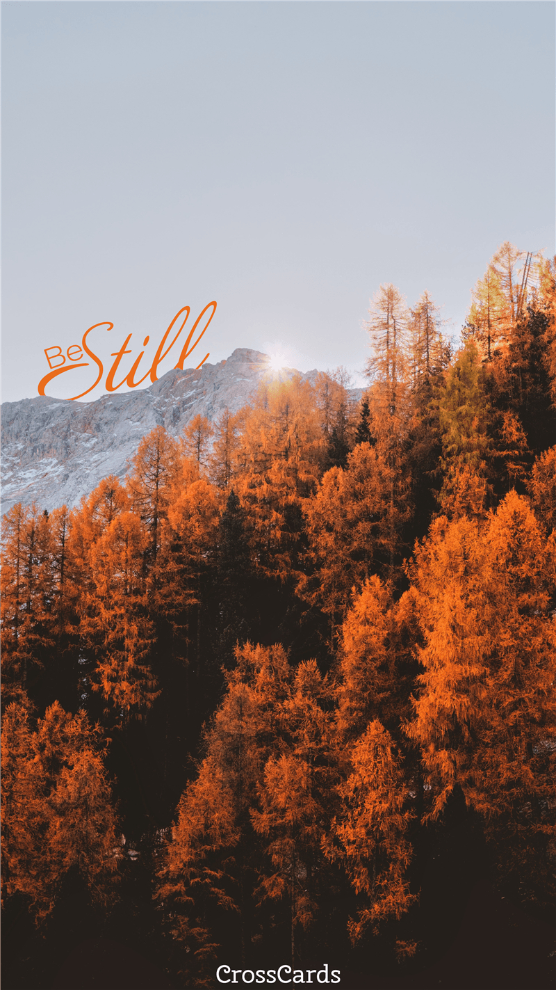 800x1430 Be Still Fall Leaves Wallpaper and Mobile Background, Phone