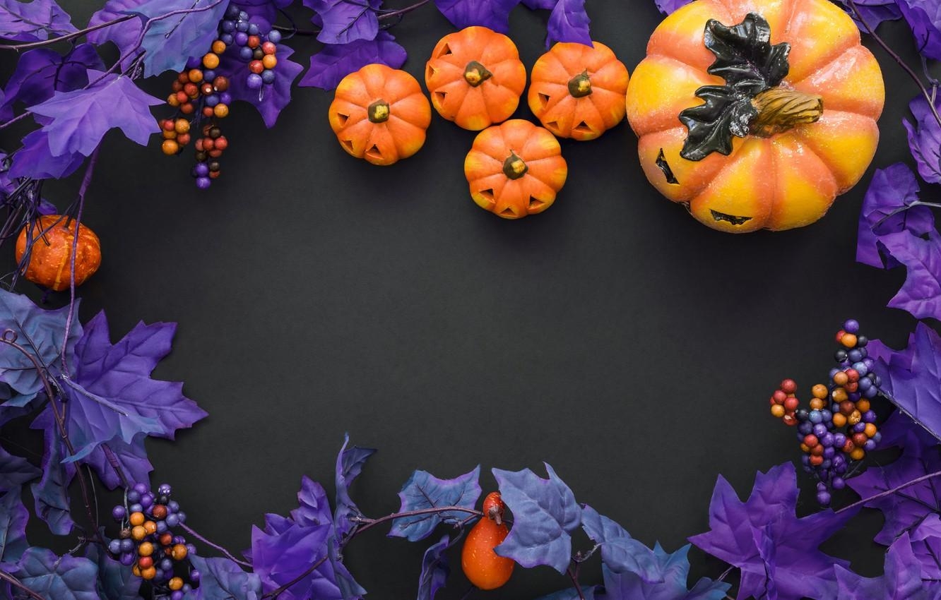 1340x850 Wallpaper purple, Halloween, pumpkin, Halloween, berries, Desktop