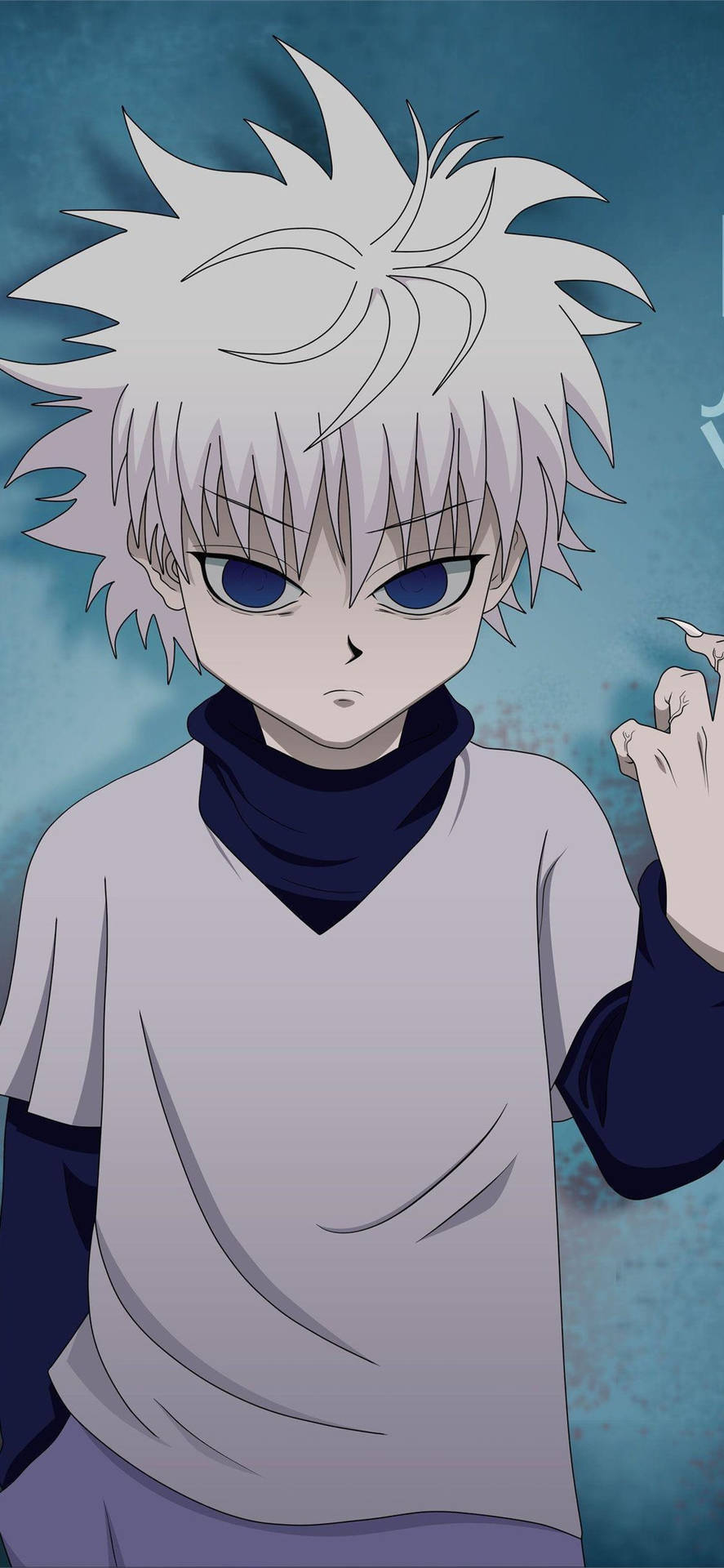 890x1920 Hunter X Hunter iPhone Wallpaper, Phone