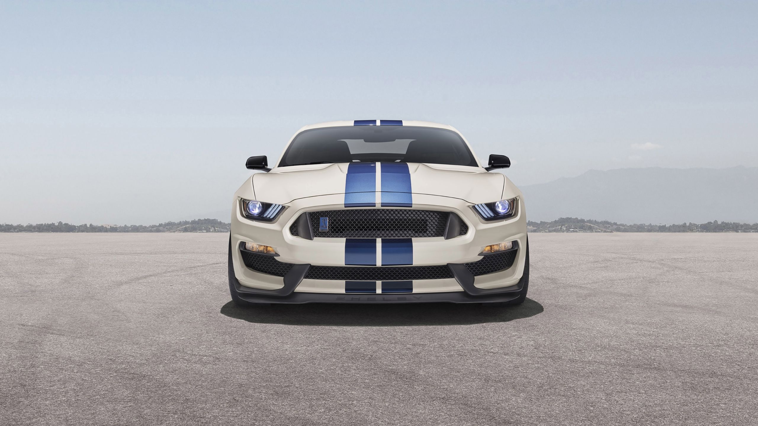 2560x1440 Ford Mustang Shelby GT350 1440P Resolution Wallpaper, HD, Desktop