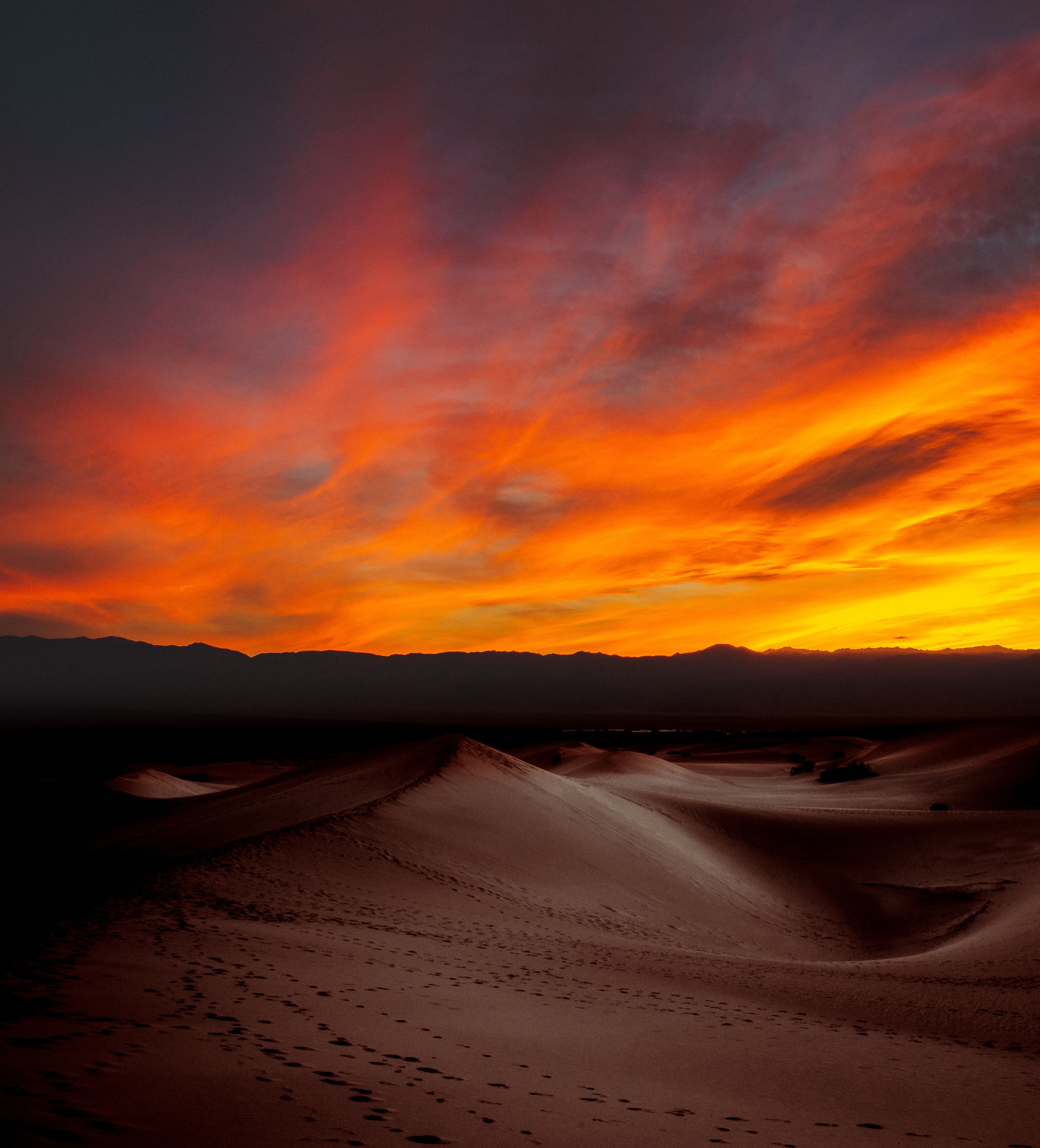 4260x4700 Burning Sunset Dark Desert 4k, HD Nature, 4k Wallpaper, Image, Background, Photo and Picture, Phone