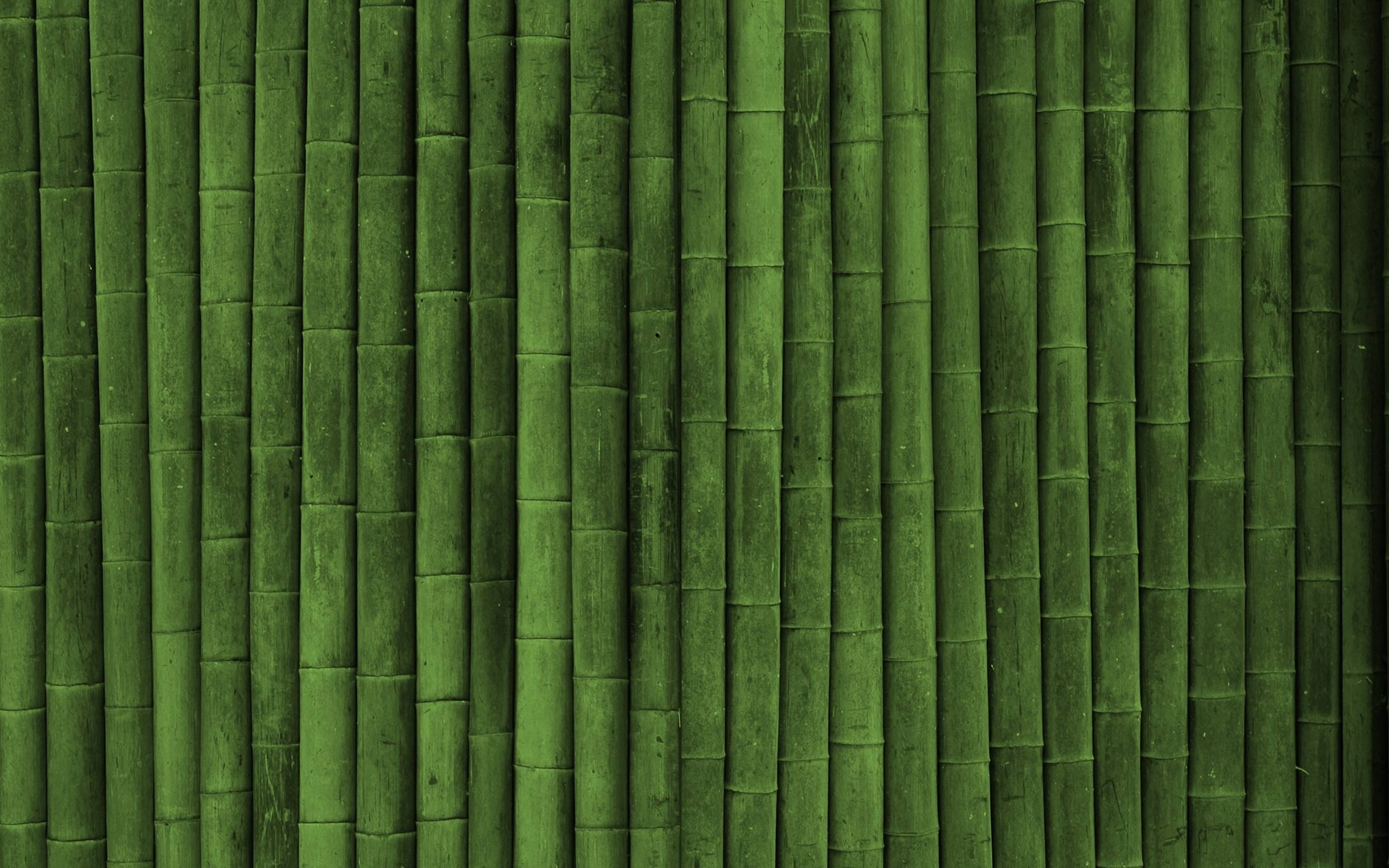 2560x1600 Download Picture Bamboo Texture Green Style Wallpaper, Desktop