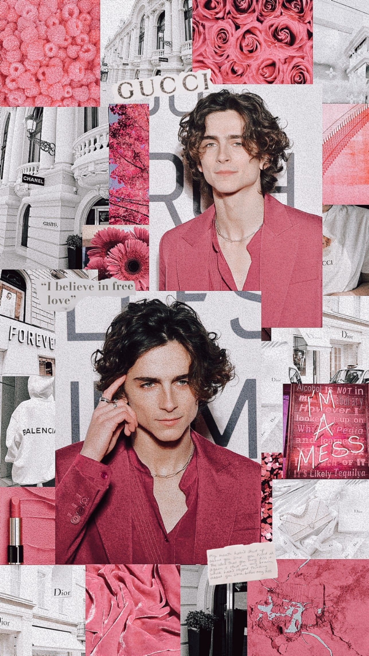 1290x2290 REQUEST ARE CLOSED!!! For ❤ #freetoedit #timotheechalamet. Timothee chalamet, Aesthetic wallpaper, Thimotée chalamet, Phone