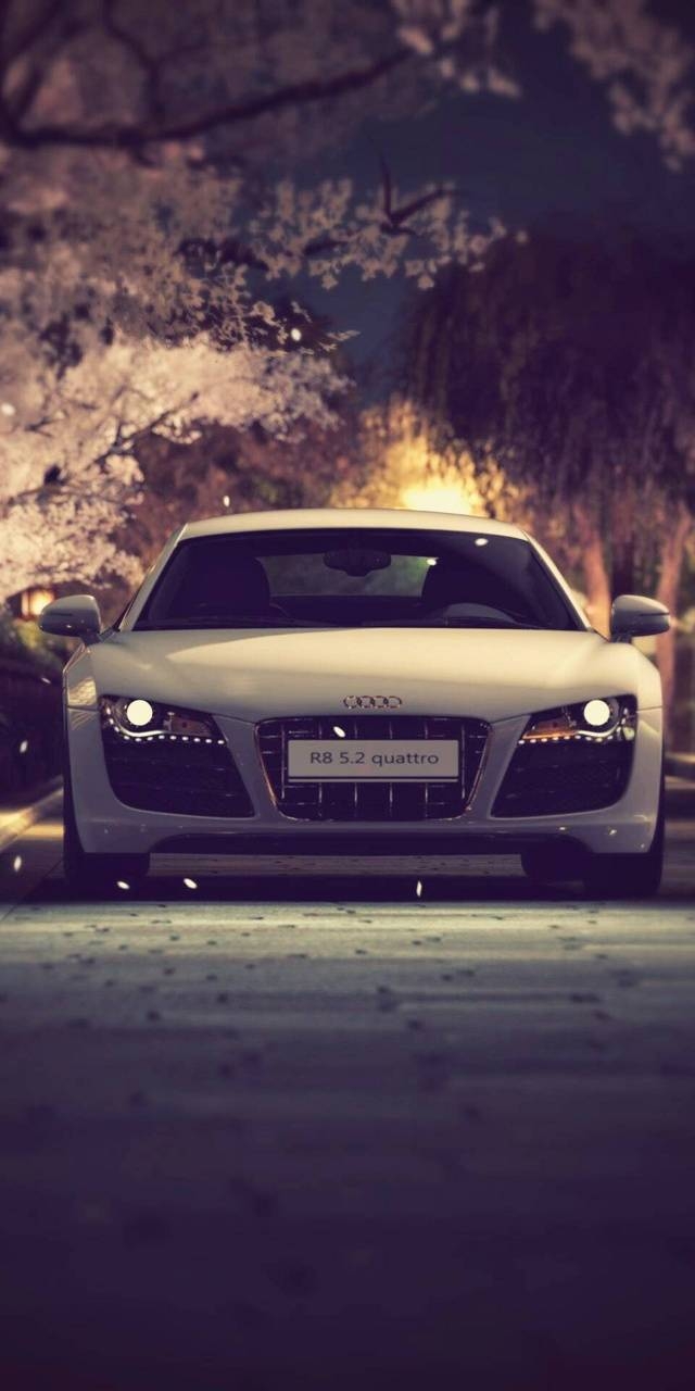 640x1280 Download Audi 4k HD Wallpaper and Background, Phone