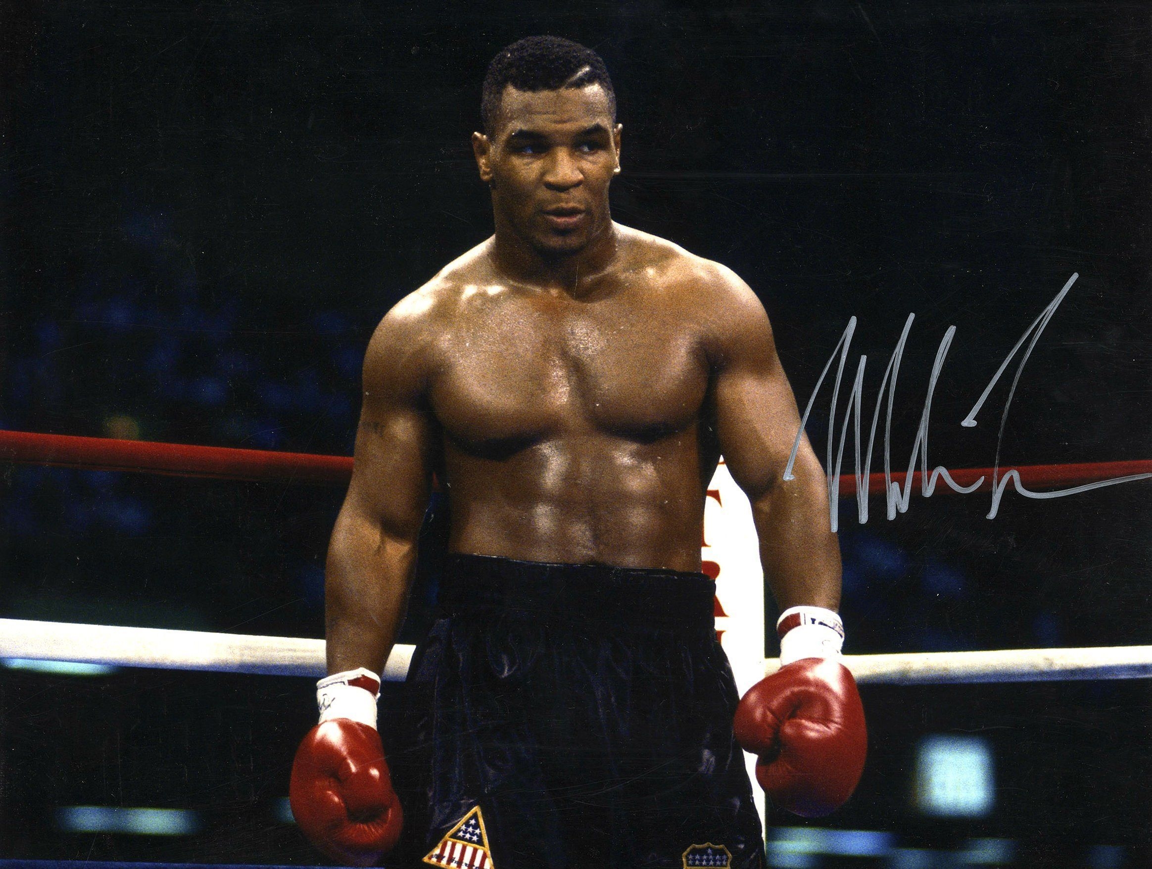 2330x1760 Boxing Mike Tyson Knockout Wallpaper Desktop Background. Boxeo, Mike tyson, Entrenamiento de abdominales, Desktop