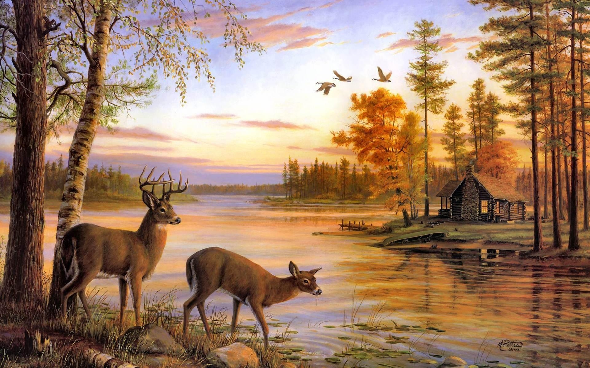 1920x1200 Beautiful Deer Wallpaper Best Of Most Beatiful Beautiful Deer, Desktop