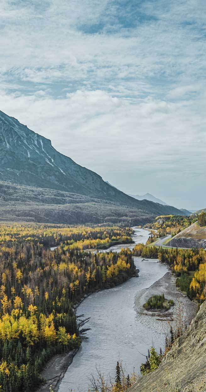 660x1250 Beautiful landscape tree, mountains & river Wallpaper, Phone