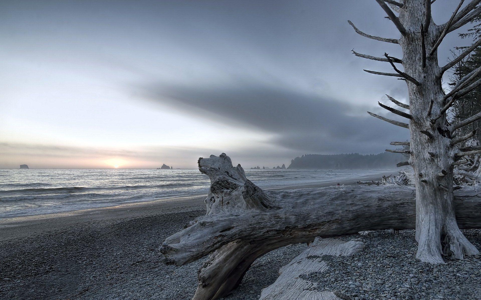 1920x1200 rialto beach olympic national park landscape HD wallpaper, Desktop