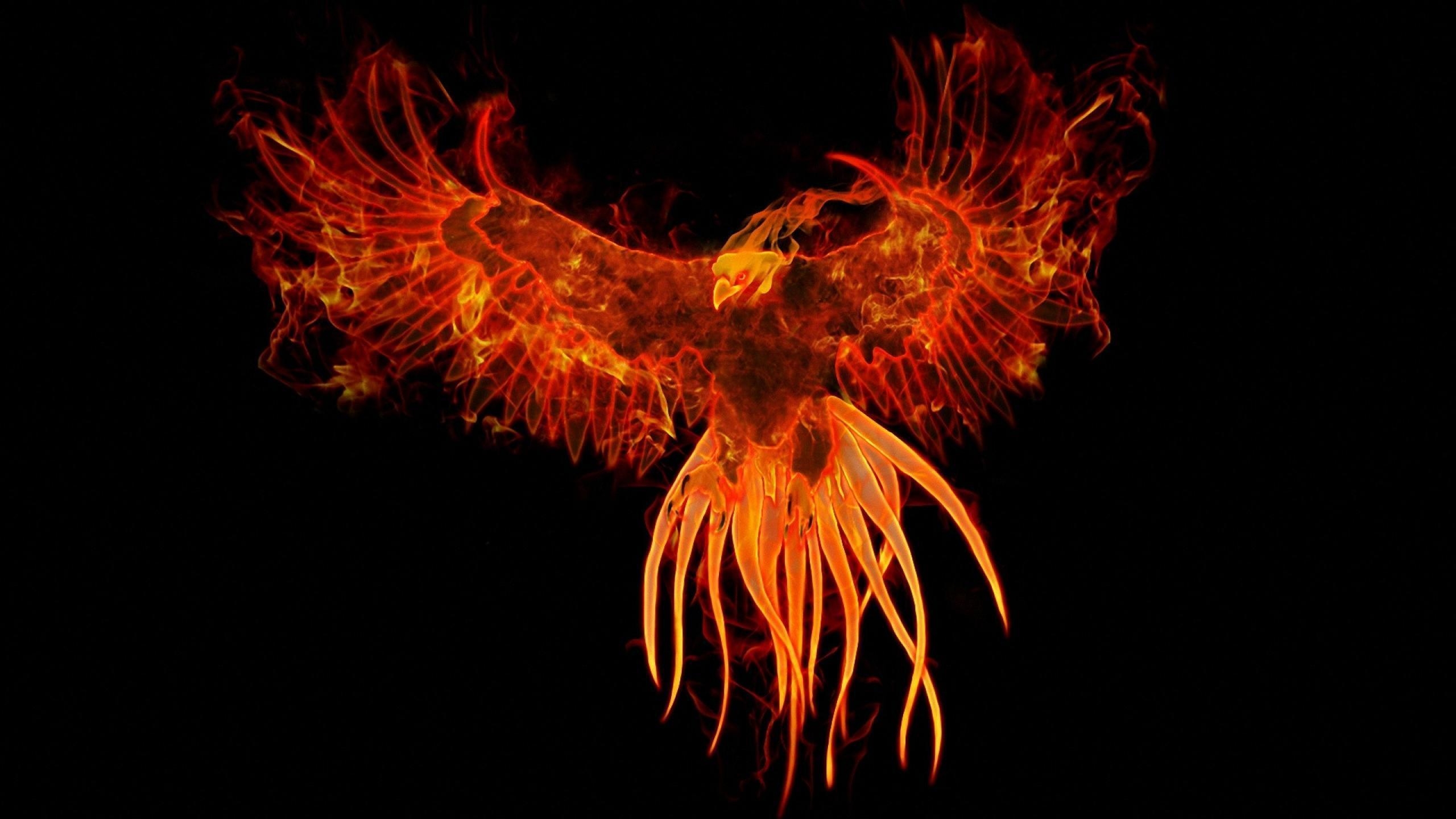 2560x1440 Phoenix Bird Wallpaper, Desktop