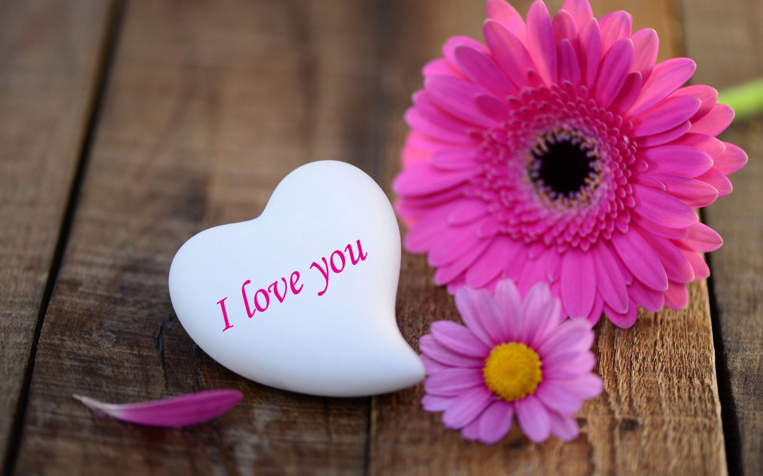 2560x1600 I Love You Wallpaper, Picture, Image, Desktop