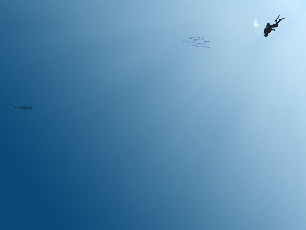 1030x770 Awesome Minimalist Wallpaper, Desktop