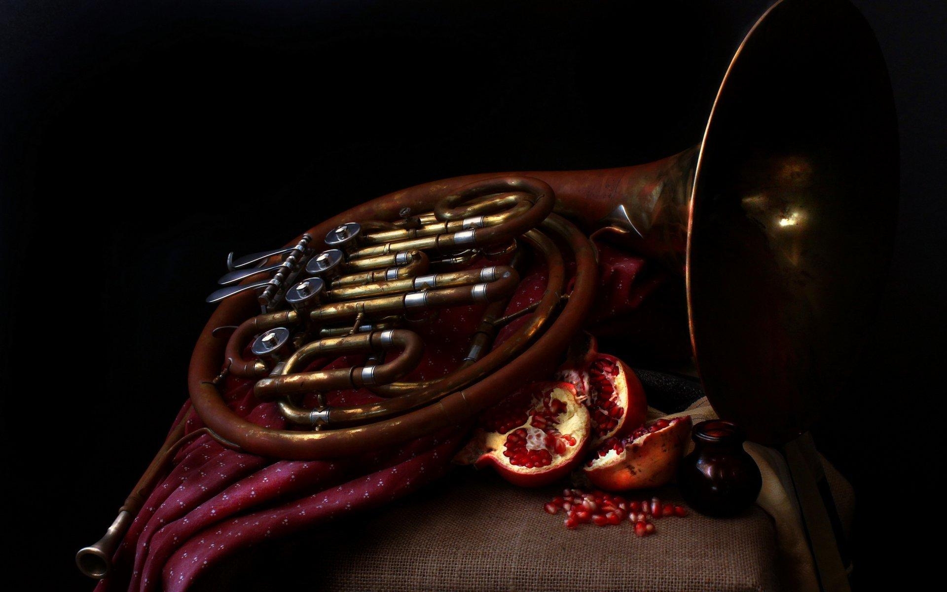 1920x1200 french horn pomegranates music HD wallpaper, Desktop