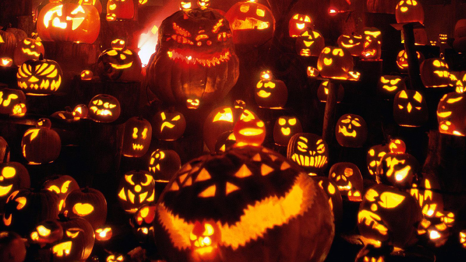 1600x900 Free download Cool Halloween Wallpaper and Halloween Icon for Download [1600x1200] for your Desktop, Mobile & Tablet. Explore Free Halloween Wallpaper. Animated Halloween Wallpaper, Desktop Halloween Scary, Desktop