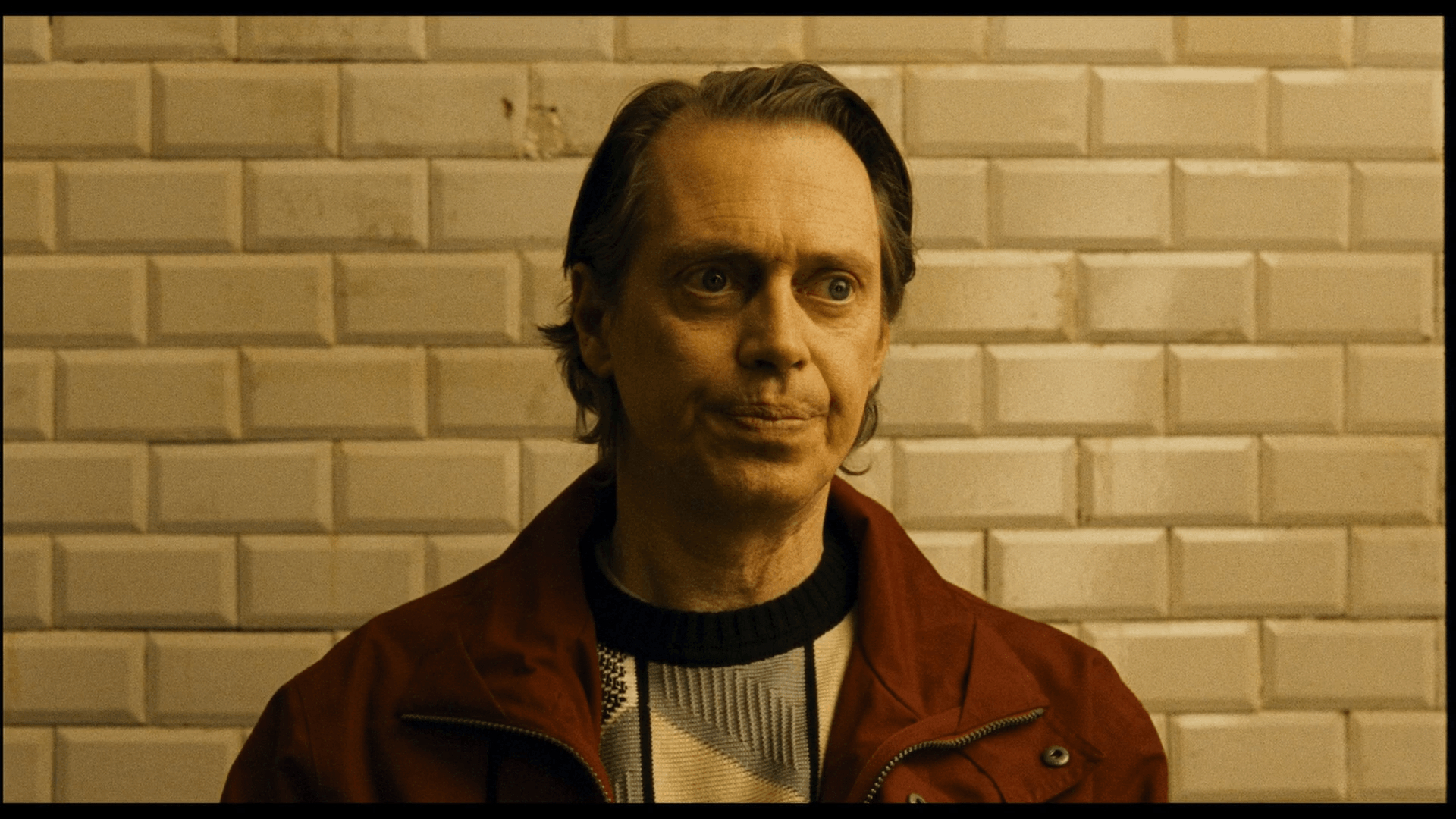 1920x1080 Steve Buscemi Wallpaper 9 X 1080, Desktop