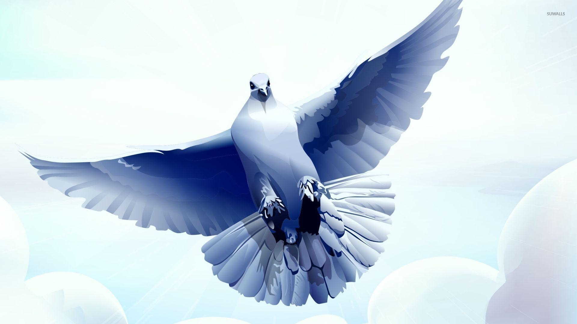 1920x1080 Dove with wings spread wallpaper wallpaper, Desktop