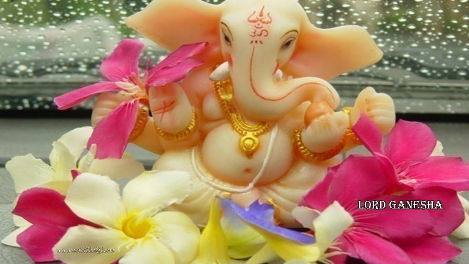 1600x900 Free download Ganesh Wallpaper blog Beautiful Ganesh wallpaper [1600x1024] for your Desktop, Mobile & Tablet. Explore Ganesh Background. Ganesh Wallpaper for Desktop, Ganesha Wallpaper HD, Ganpati Wallpaper HD, Desktop