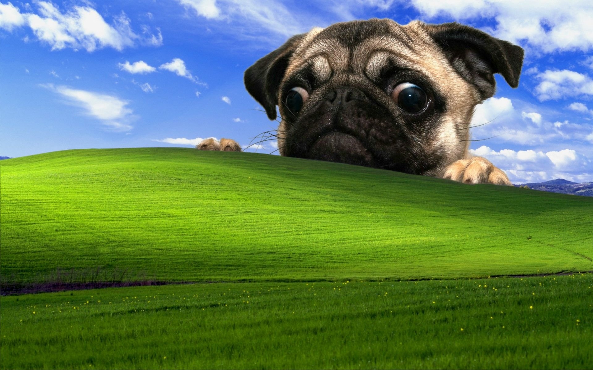 1920x1200 Funny Windows XP Wallpaper, Desktop