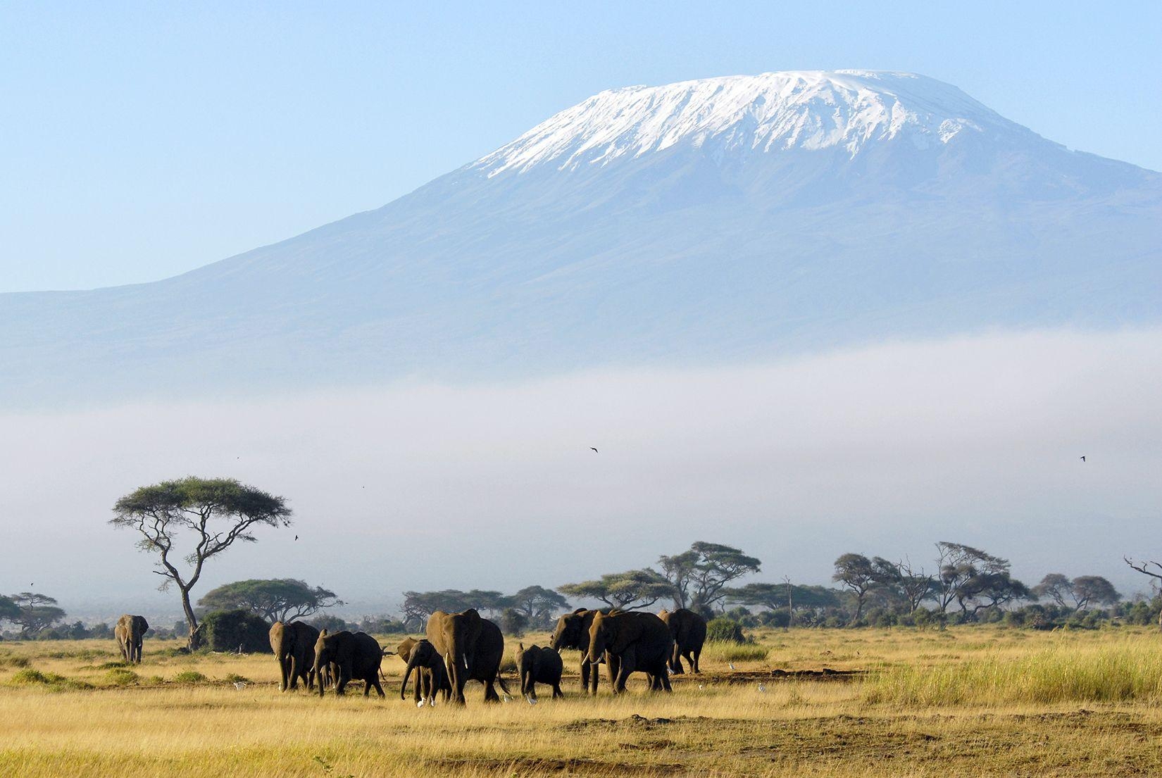 1650x1110 px Kilimanjaro (1389.94 KB).06.2015, Desktop